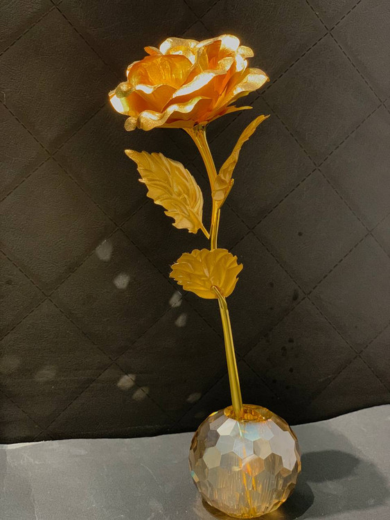 شاخه گل رز شکفته - 795