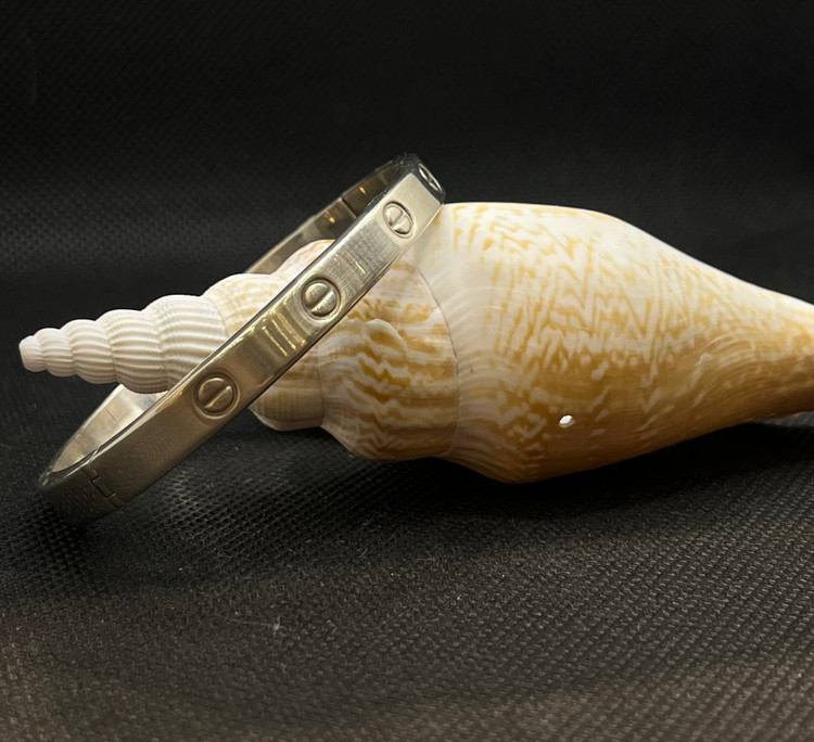 النگو نقره زنانه کارتیر